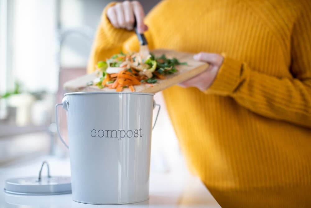 Indoor Composting Pile