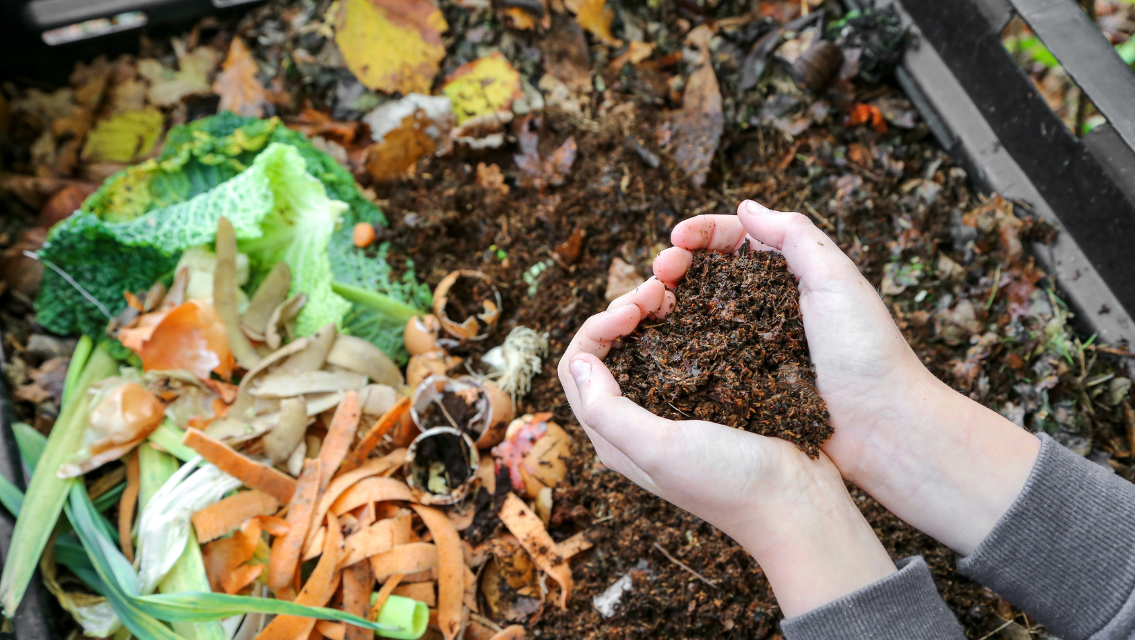 Green Paper Products | International Compost Awareness Week | COMPOST | Nature's Climate Champion | May 5-11, 2024