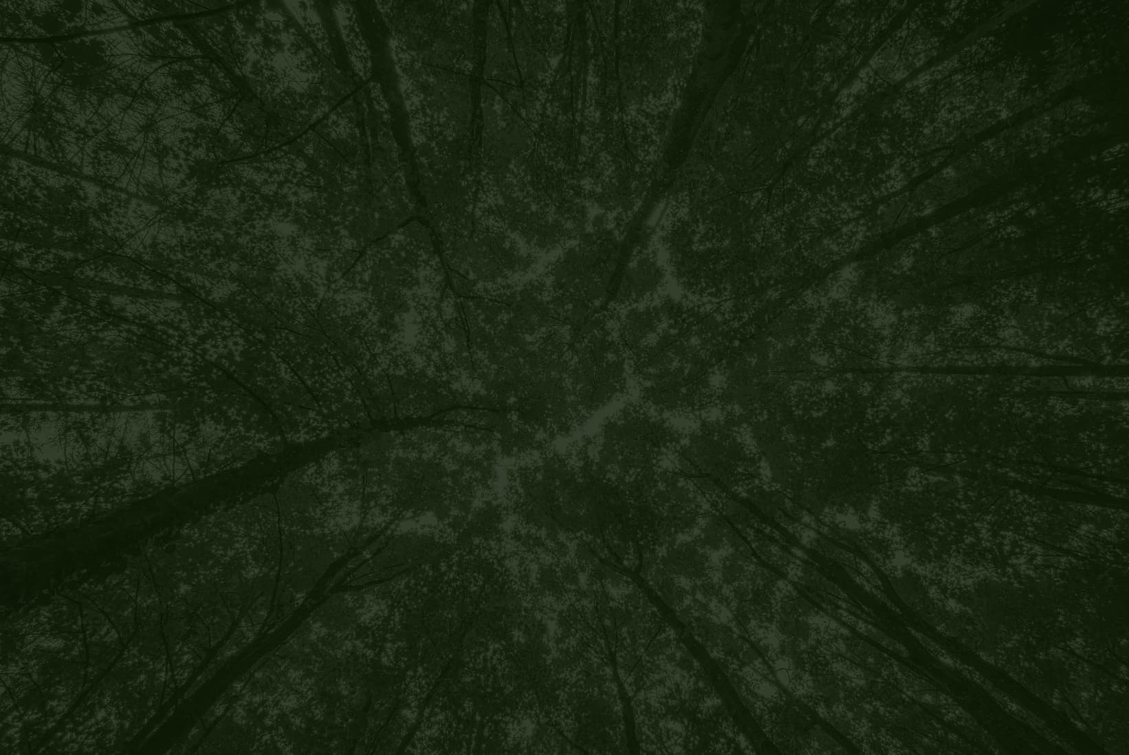 trees