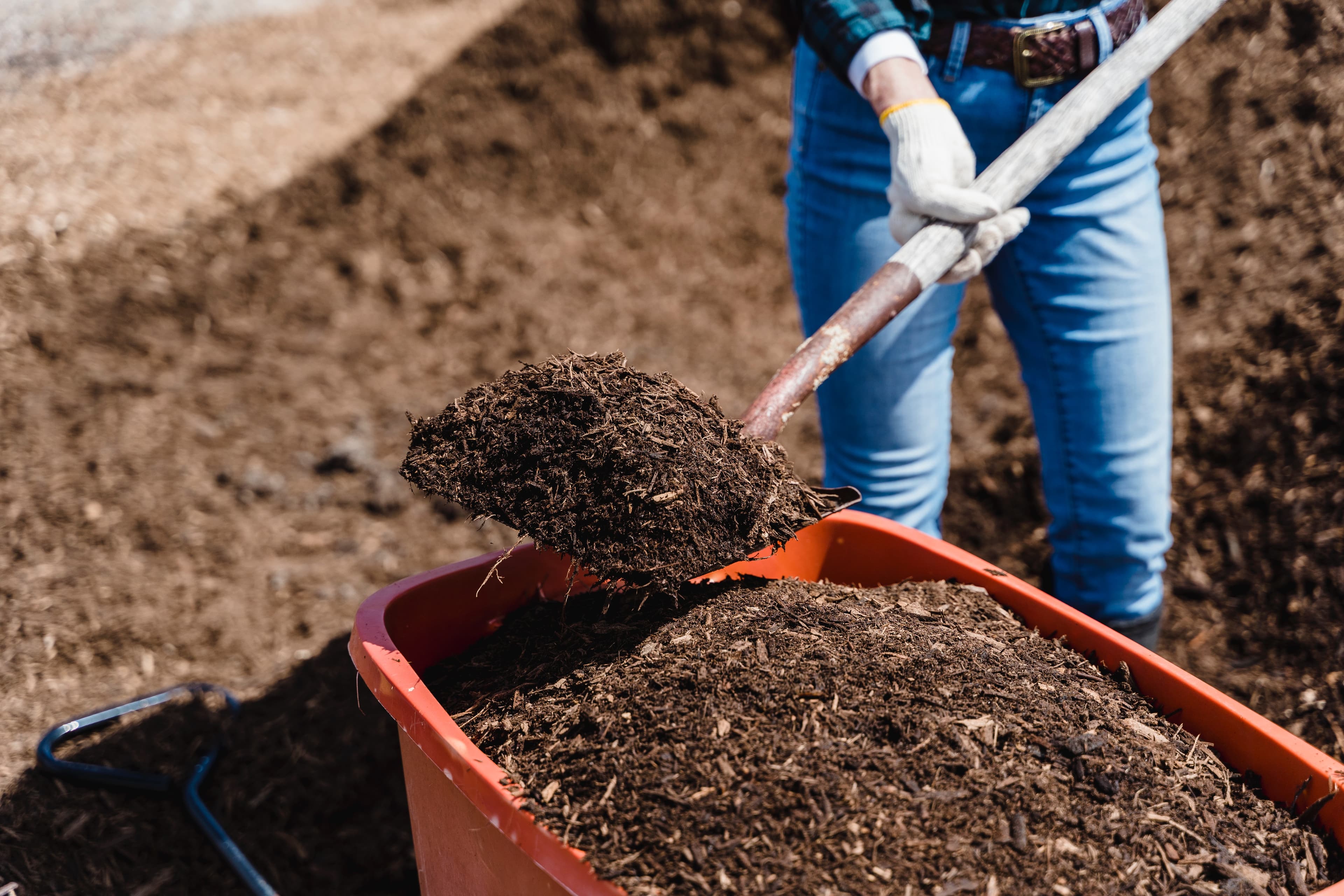 composting in soil